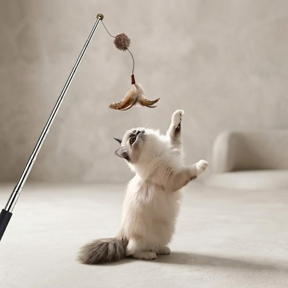 Zolenitacosh Retractable Cat Teaser Wand with Feather Refills, Long Stainless Steel Telescopic Cat Toy String for Indoor Cats and Kittens, Interactive Pet Supplies