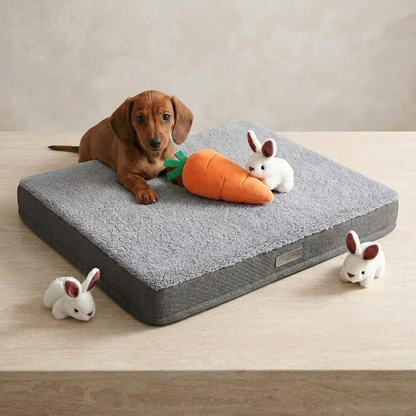 Zolenitacosh 5-Pack Interactive Hide and Seek Squeaky Plush Dog Toys, Burrow Bunny and Carrots Puzzle Toy for Small Dogs, Soft Snuffle Stuffed Toys, Orange and White